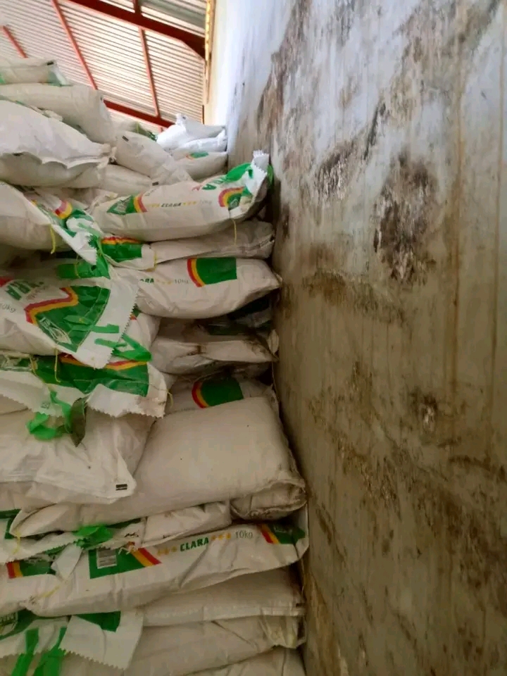 Alerta em Gaza: alimentos para vítimas das cheias apodrecem em armazém