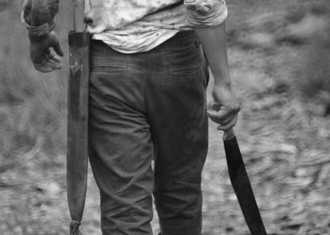 Filho Detido por Suspeita de Matar a Própria Mãe à Catana em Quelimane